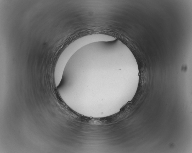 X0000114610613200911171036