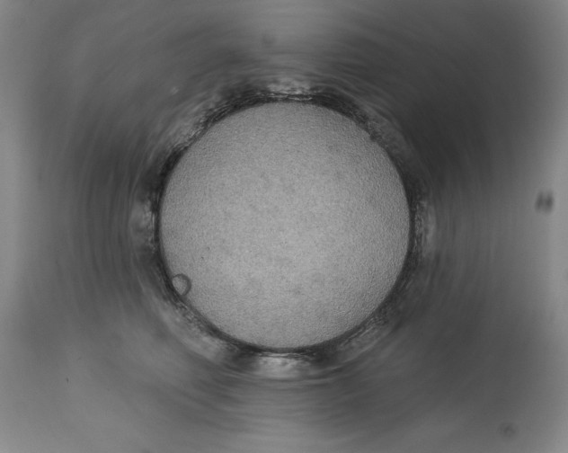 X0000114610614200911171036