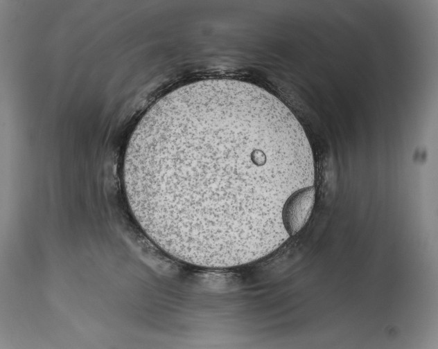 X0000114610615200911171036