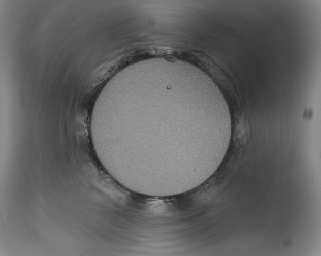 X0000114610616200911171036