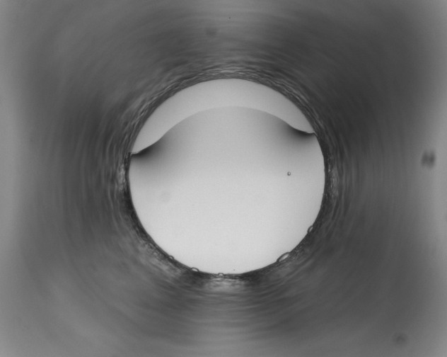 X0000114610617200911171036