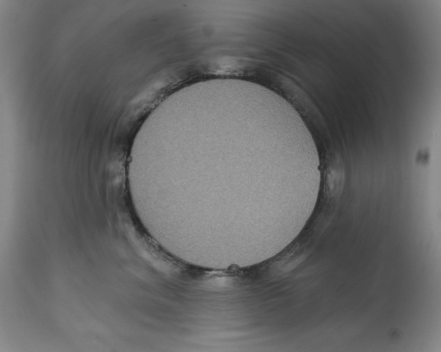 X0000114610620200911171036