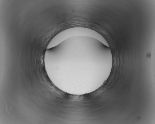 X0000114610621200911171036