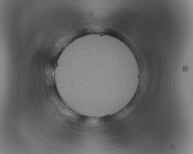 X0000114610624200911171036