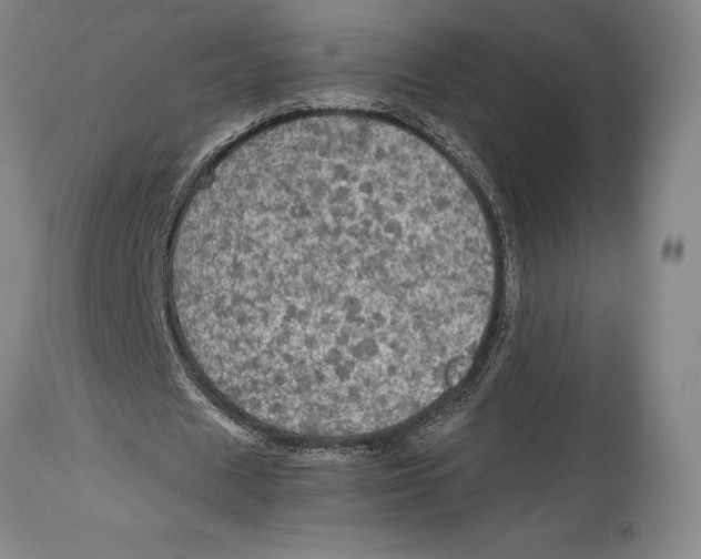 X0000114610625200911171035