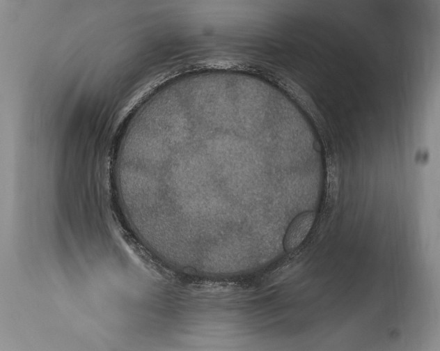 X0000114610626200911171035