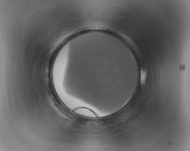 X0000114610627200911171035