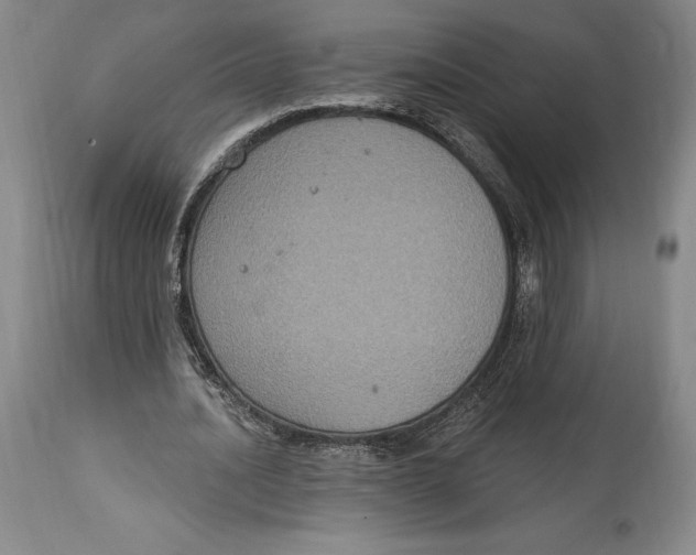 X0000114610628200911171035