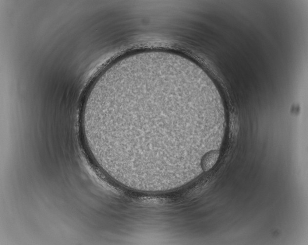 X0000114610629200911171035