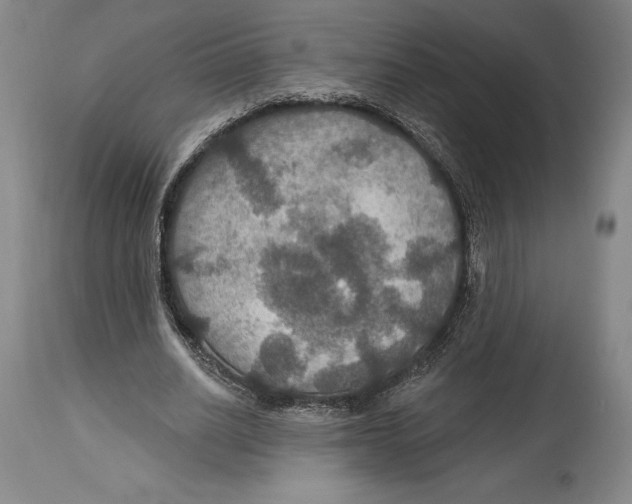 X0000114610630200911171035