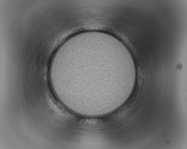 X0000114610631200911171035