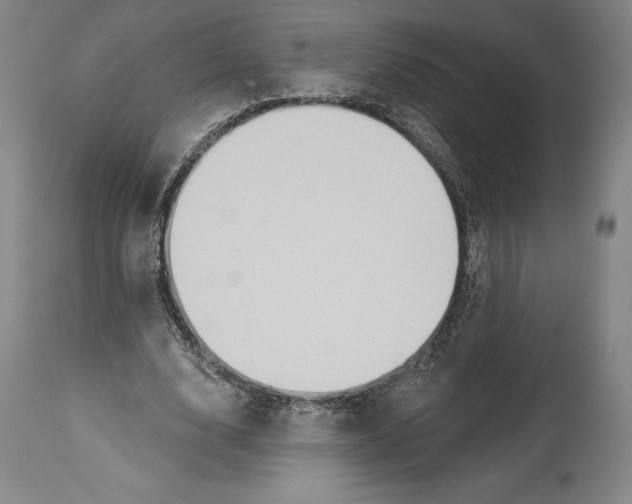 X0000114610632200911171035