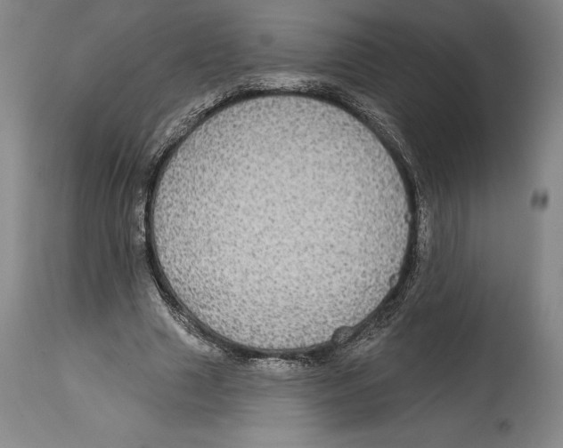 X0000114610633200911171035