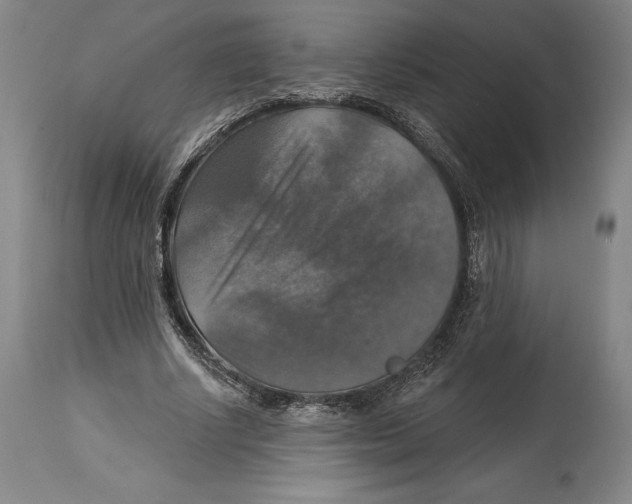 X0000114610634200911171035