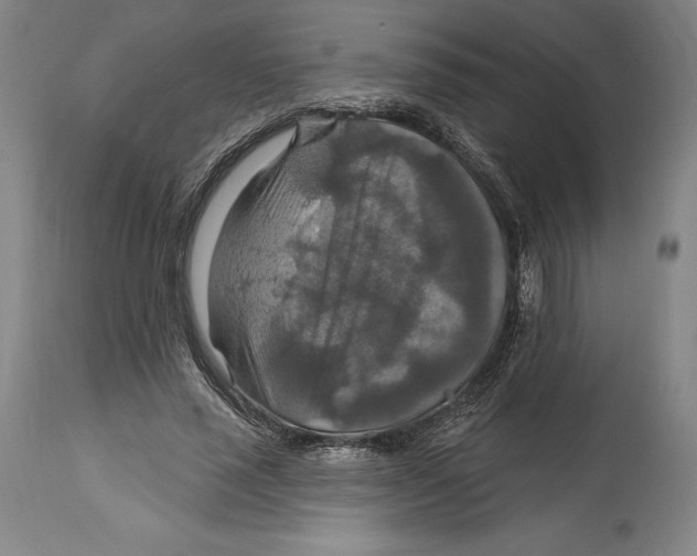 X0000114610637200911171036