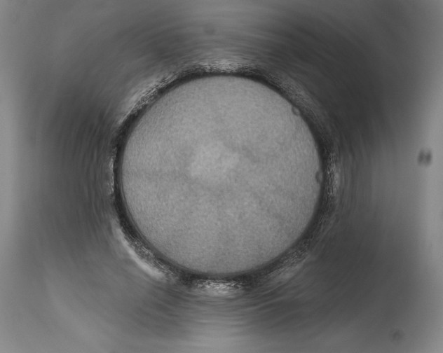 X0000114610638200911171036