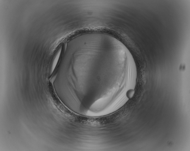 X0000114610640200911171036