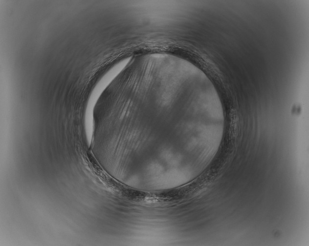 X0000114610641200911171036