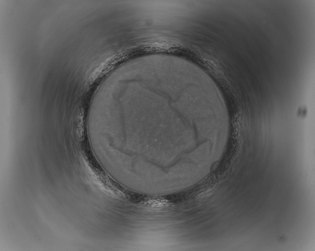 X0000114610642200911171036