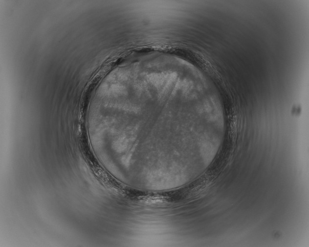 X0000114610643200911171036