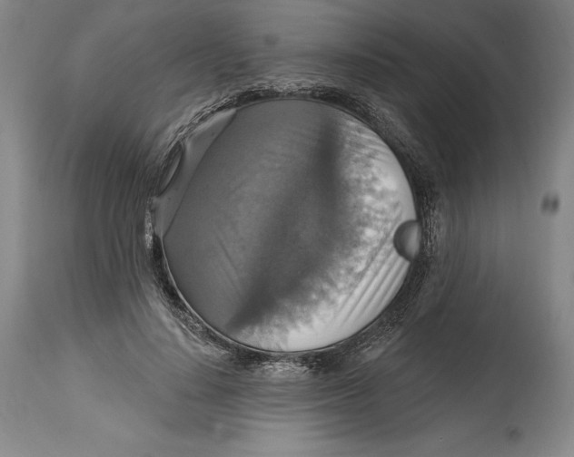 X0000114610644200911171036