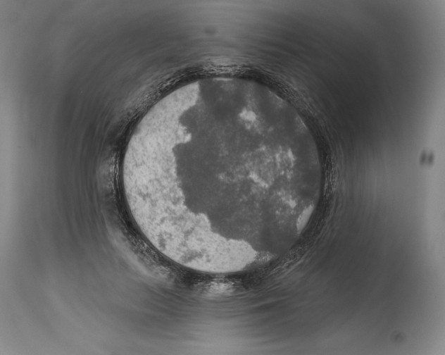 X0000114610647200911171036