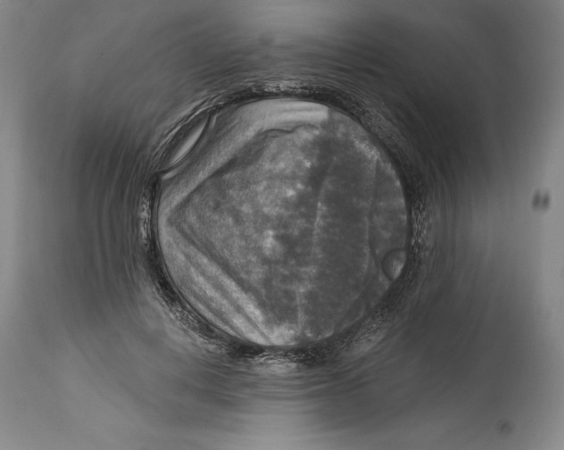 X0000114610648200911171036