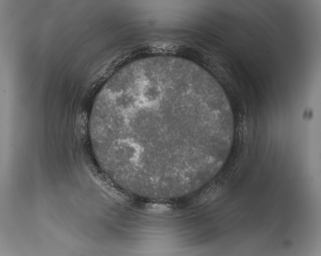 X0000114610649200911171036