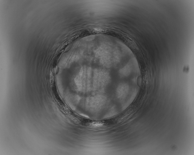 X0000114610651200911171036