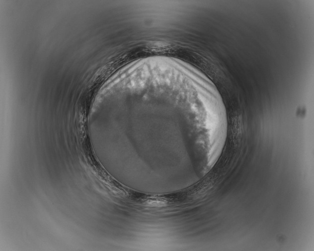 X0000114610653200911171036