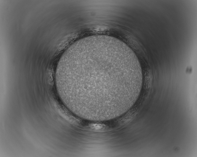 X0000114610654200911171036