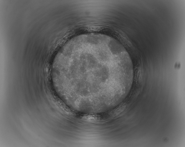 X0000114610655200911171036