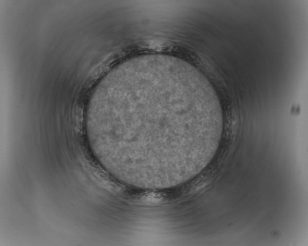 X0000114610656200911171036