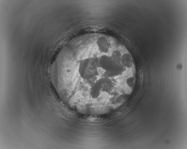 X0000114610657200911171036