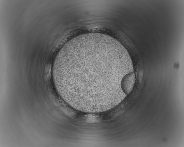 X0000114610660200911171036