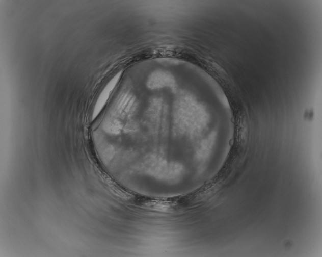 X0000114610661200911171036