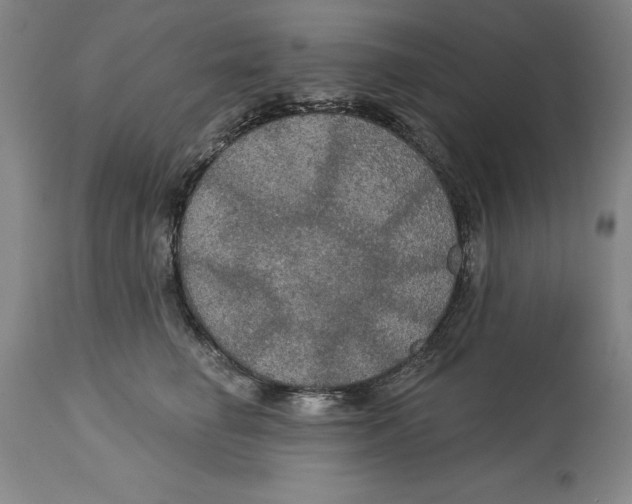 X0000114610662200911171036