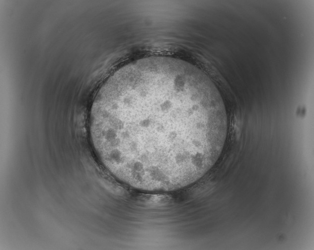 X0000114610663200911171036