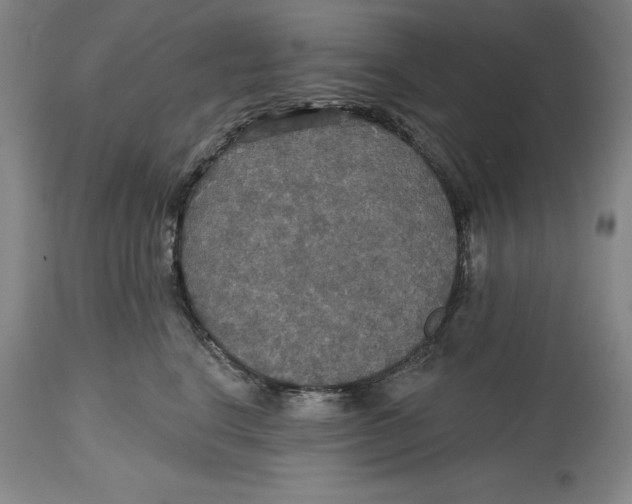 X0000114610664200911171036