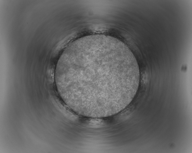 X0000114610666200911171036