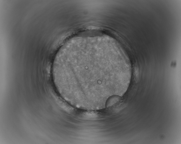 X0000114610668200911171036