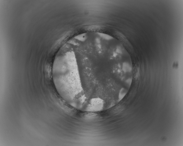 X0000114610669200911171036