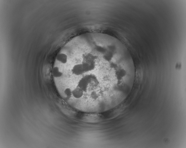 X0000114610671200911171036