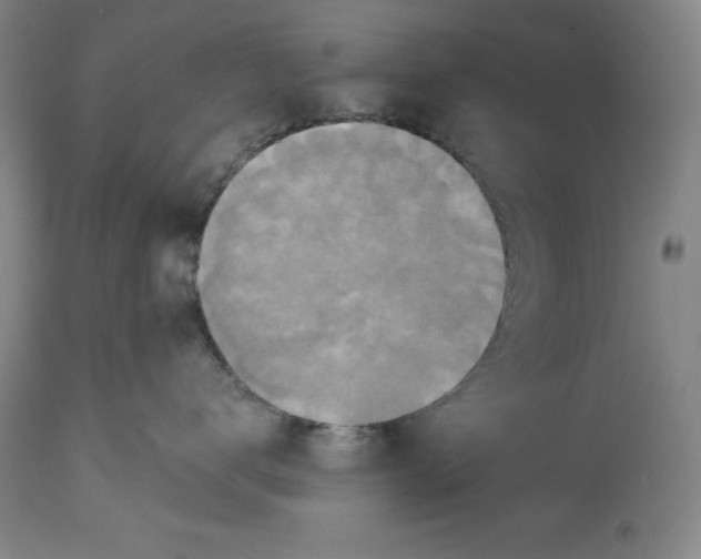 X0000114610672200911171036