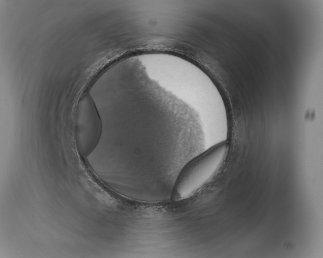 X0000114610673200911171035