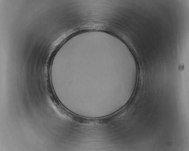 X0000114610674200911171035