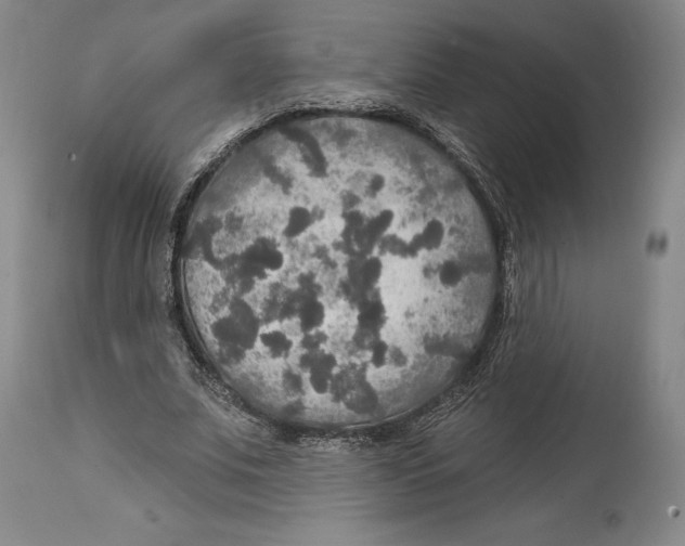 X0000114610679200911171035