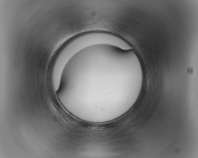 X0000114610680200911171035