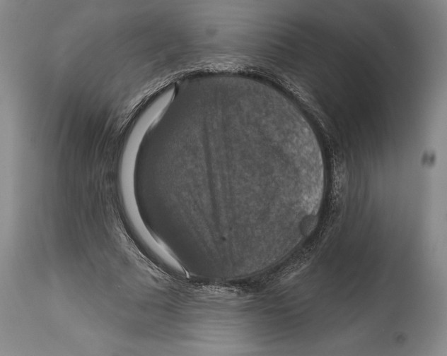 X0000114610681200911171035