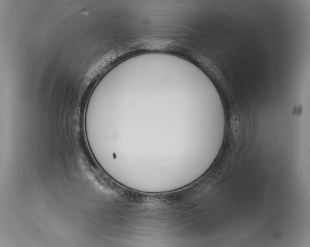 X0000114610682200911171035